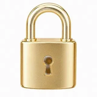 Metal padlock — Joe Fortune
