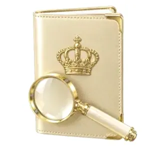 Passport magnifying glass — Joe Fortune