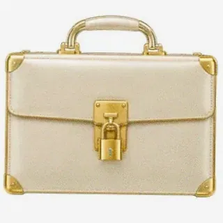 Locked leather briefcase — Joe Fortune