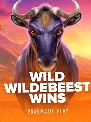 Wild Wildebeest Wins at Joe Fortune